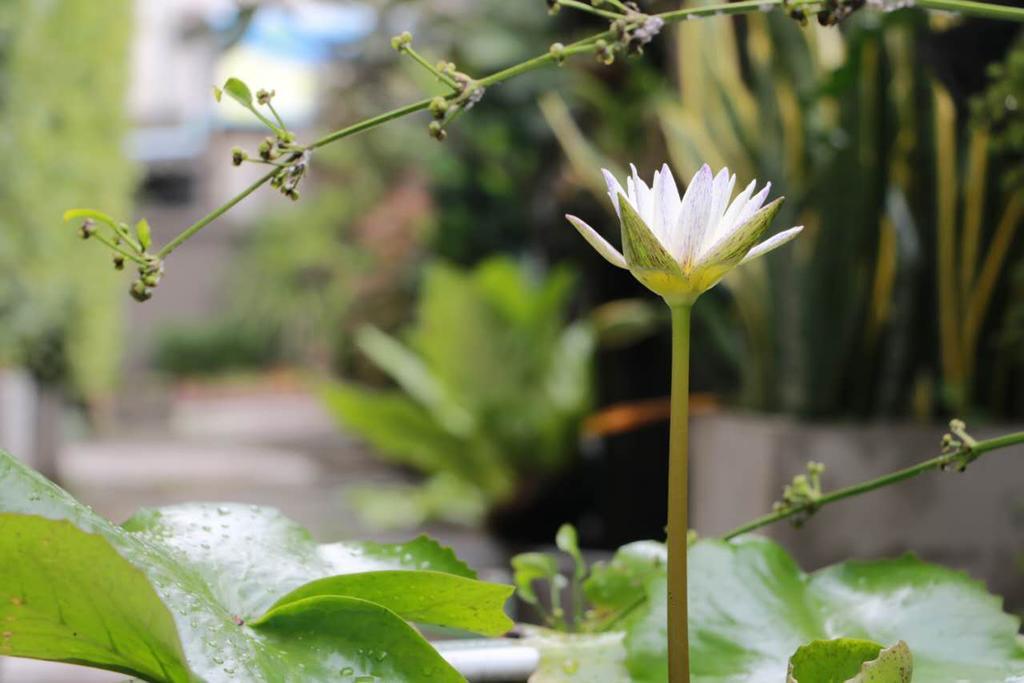 Namnon Place Nonthaburi Eksteriør bilde